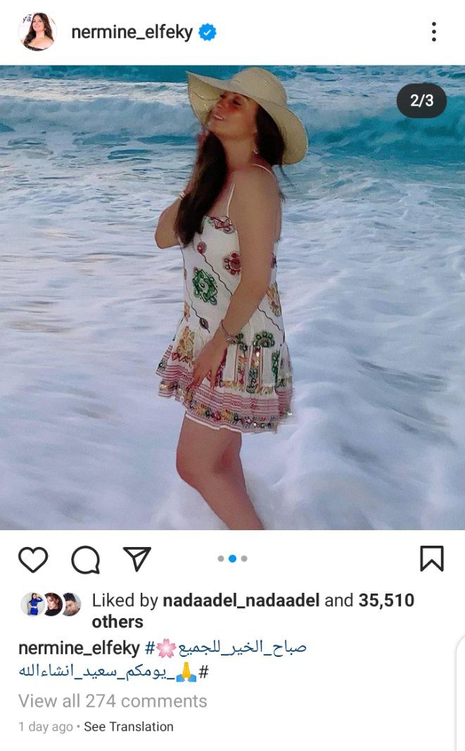 نيرمين الفقي