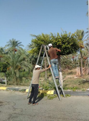 WhatsApp Image 2022 09 30 at 2.58.46 PM