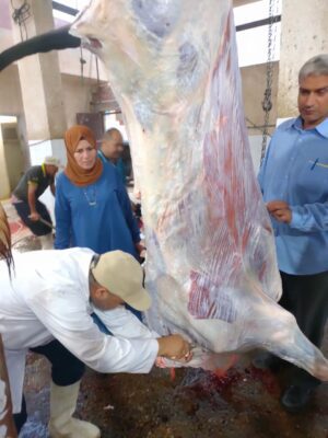IMG 20230608 WA0089