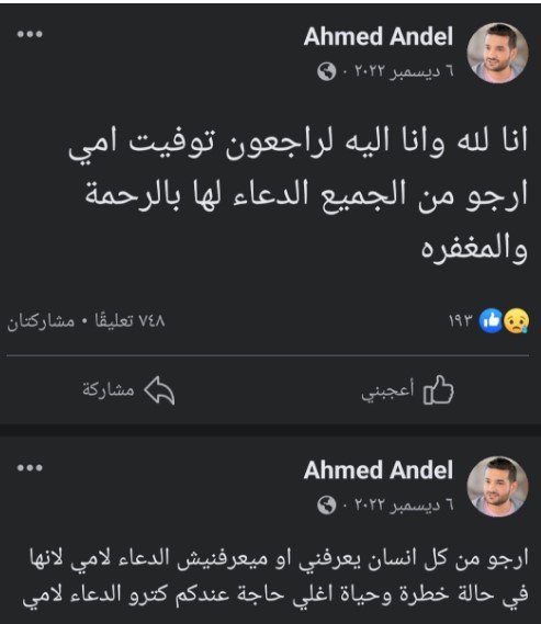  الفنان احمد قنديل