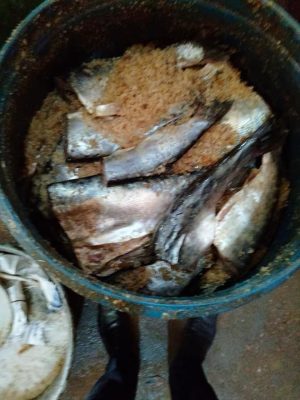 IMG 20240509 WA0012