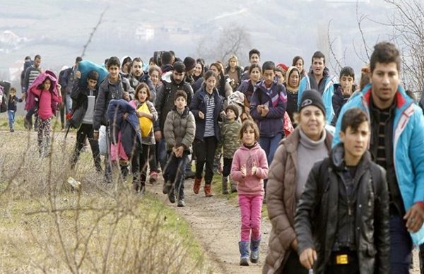 لاجئاً سورياً عادوا