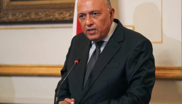 وزير الخارجية سام شكري