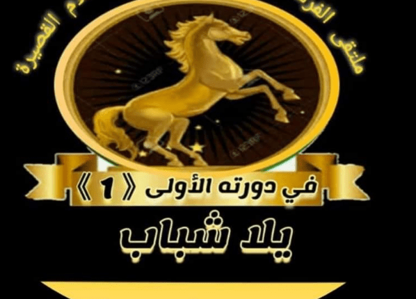 ملتقى الفرسان السينمائى الدولى