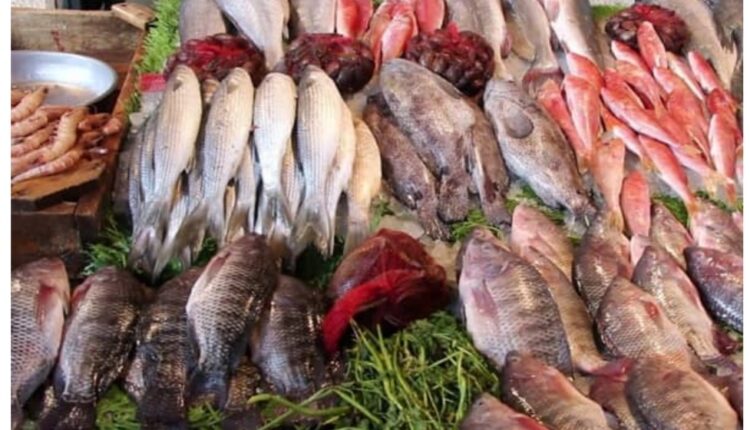 أسعار الأسماك