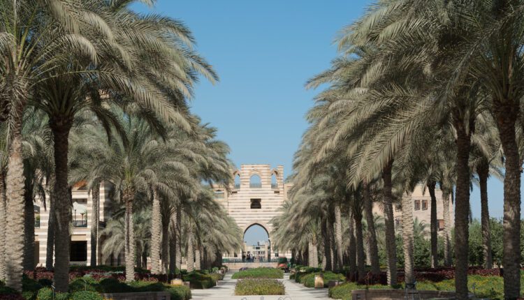 الجامعة الأمريكية بالقاهرة تطلق تخصصا جديدا في علم الأعصاب السلوكي