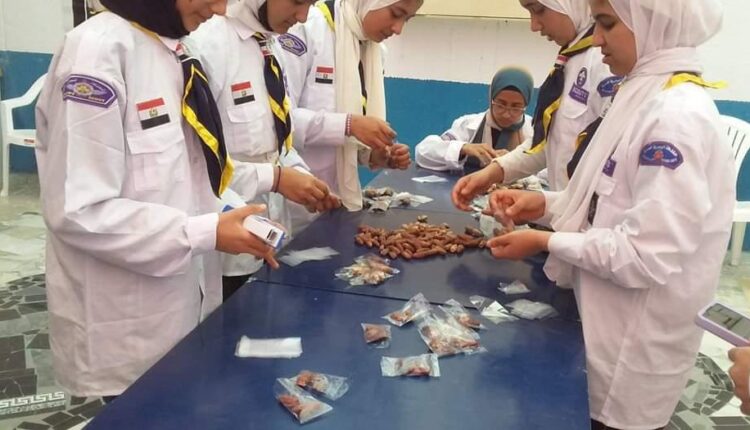 المهرجان الكشفي السنوي