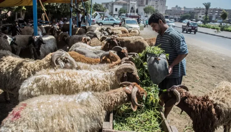 العيد