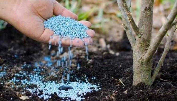 أسعار الأسمدة