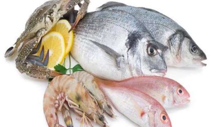 أسعار السمك