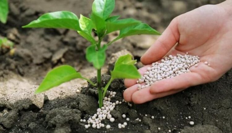 أسعار الأسمدة