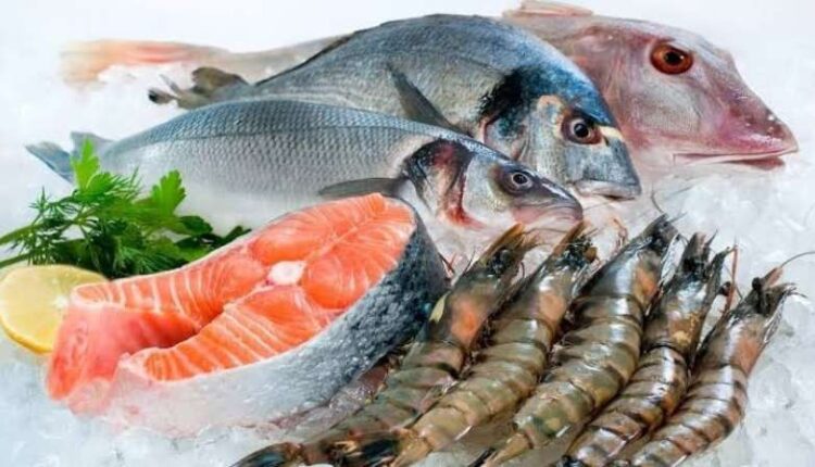 أسعار السمك