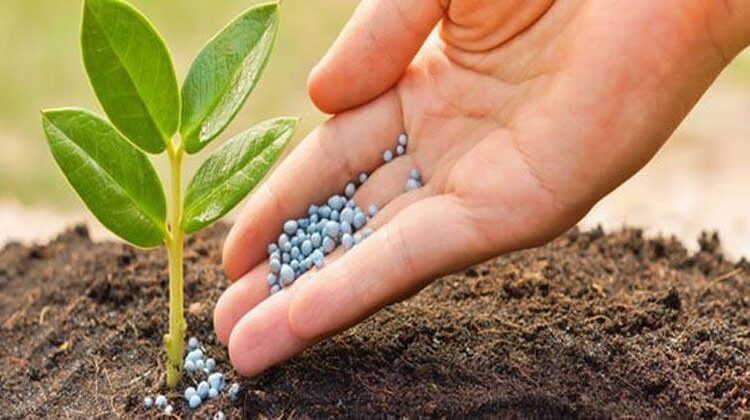 أسعار الأسمدة