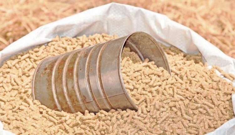 أسعار الأعلاف