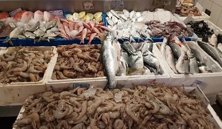 أسعار السمك