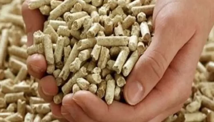 أسعار الأعلاف