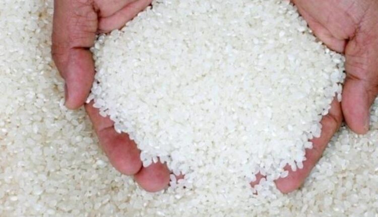 سعر الأرز