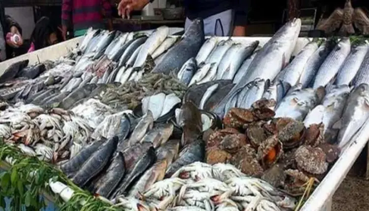 أسعار السمك