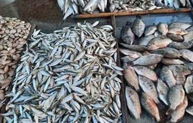 أسعار السمك