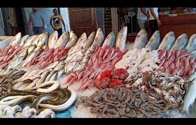 اسعار السمك