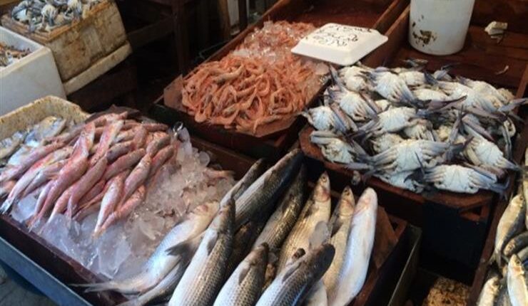 أسعار السمك