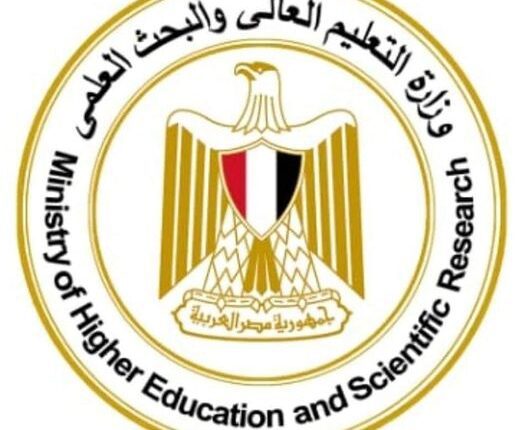 التعليم العالي