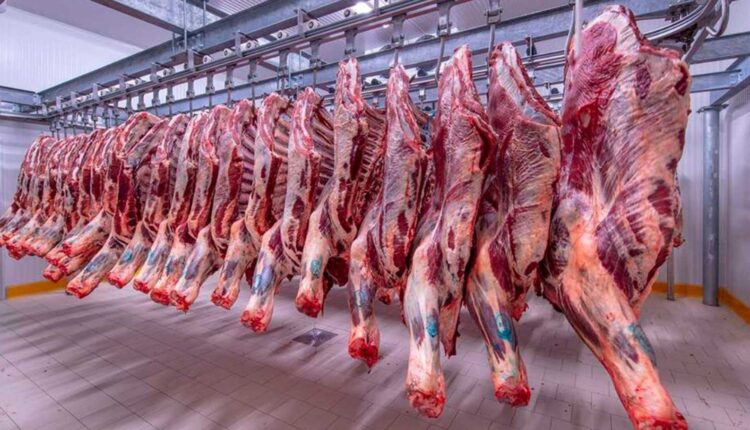 أسعار اللحوم