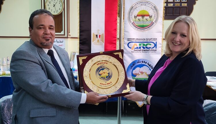 تعاون بين معهد بحوث القطن وشركة كوتن كونكت  للإنتاج المستدام 