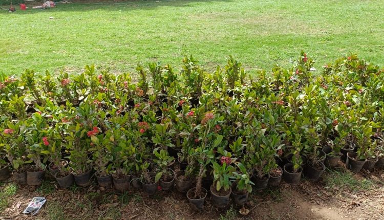 رئيس جهاز الشروق يتفقد منطقة الرابية المضافة للمدينة ويلتقى حائزى الأراضى