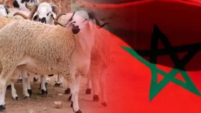 موعد عيد الأضحى في المغرب