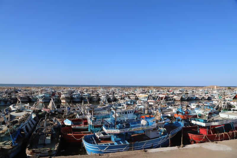 برج البرلس