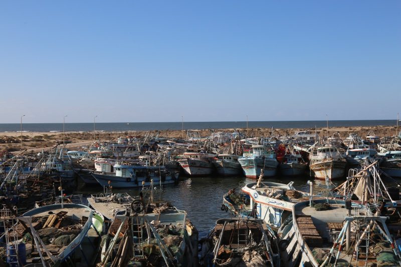 برج البرلس