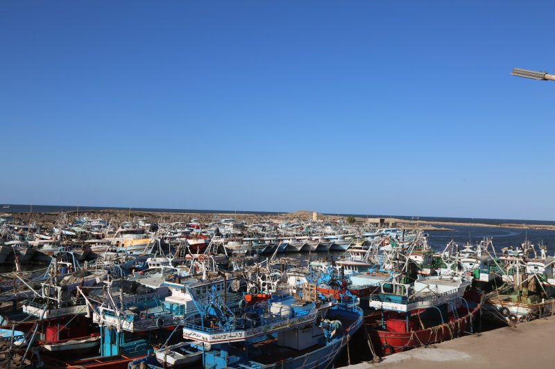 برج البرلس