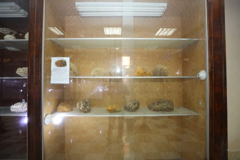 IMG 20250120 WA0218