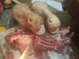 IMG 20250306 WA0183
