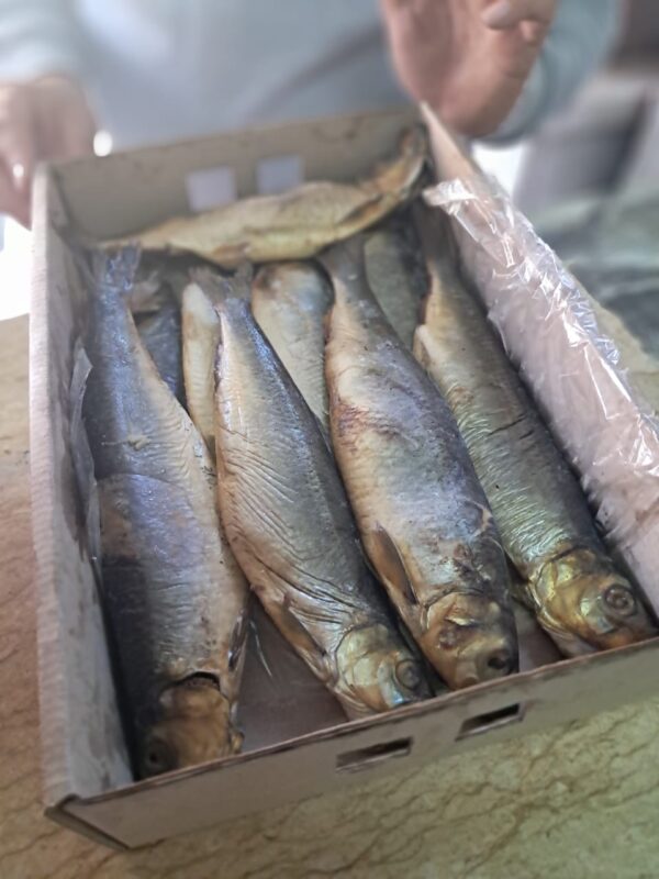 IMG 20250422 WA0040