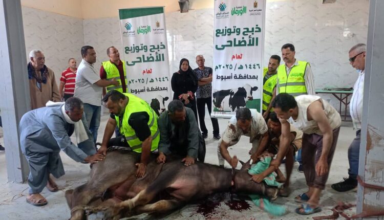 محافظ أسيوط