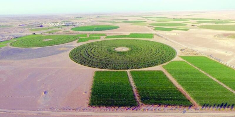 القطاع الزراعي