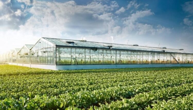 المدن الزراعية