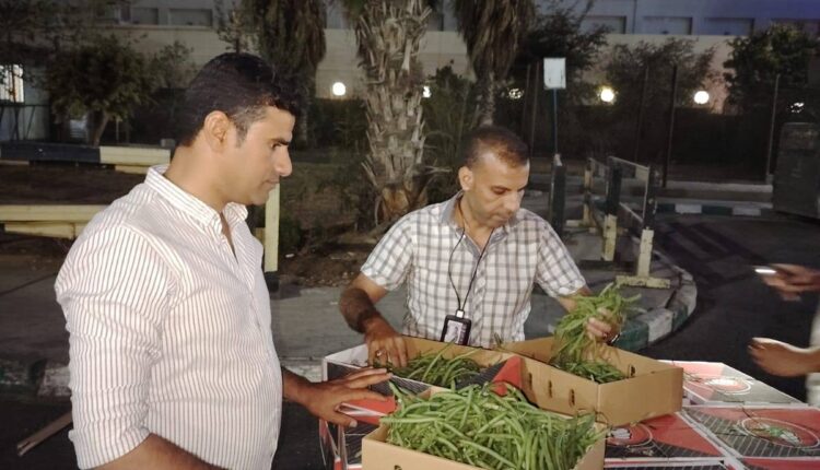 متابعة شحنات الخضر والفاكهة المصدرة