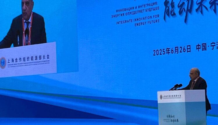 وزير الكهرباء