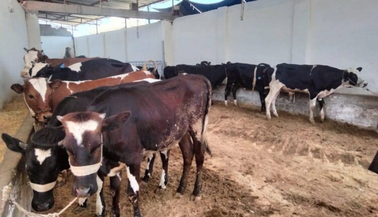 وزير الزراعة