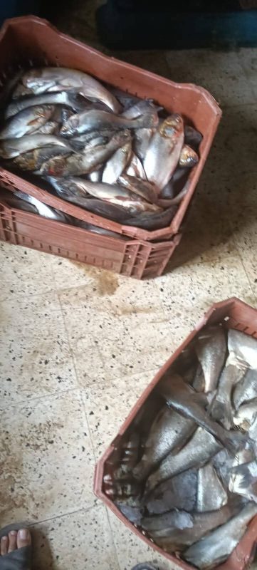 IMG 20250830 WA0081
