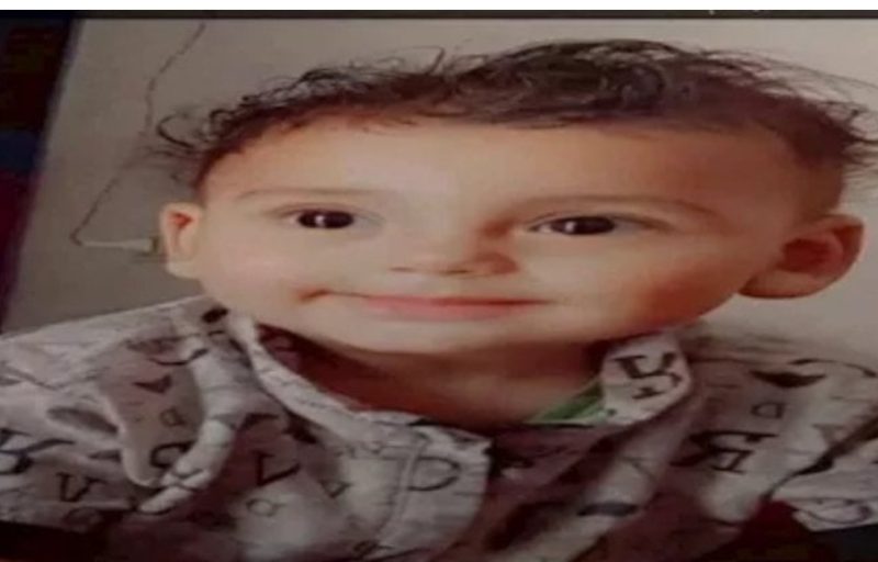 المنوفية: حمار يقتل طفل لم يتجاوز 2 سنه برفسة