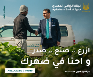 داخل المقالة