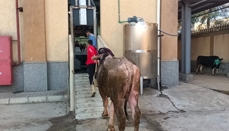 محافظ كفر الشيخ