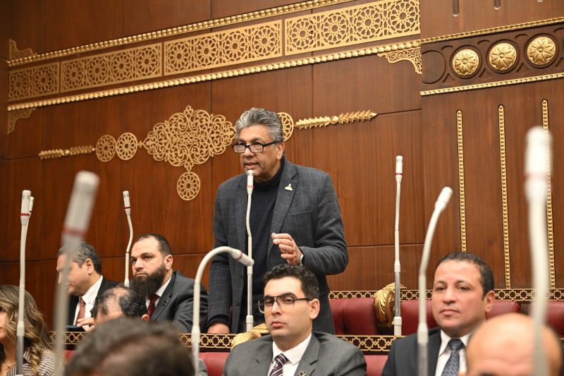 النائب شبل ضحا يطالب بزيادة حد الإعفاء الضريبي في لجان الطعن في مناقشات تعديل قانون الضرائب العقارية