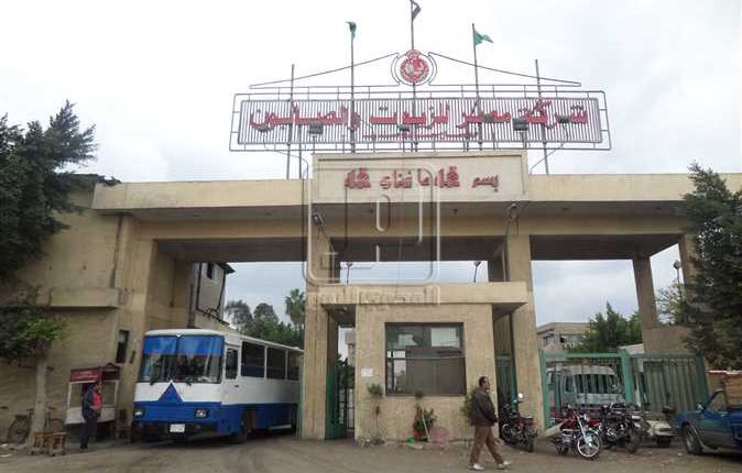 عمومية مصر للزيوت والصابون تعتمد توزيع كوبون نقدي بقيمة 0.5 جنيه للسهم